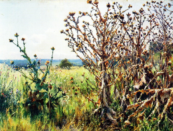 Image - Mykhailo Berkos: Thistles (1898).